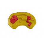 Dinosaurus RC s parou a zvukovými efektami - zelený